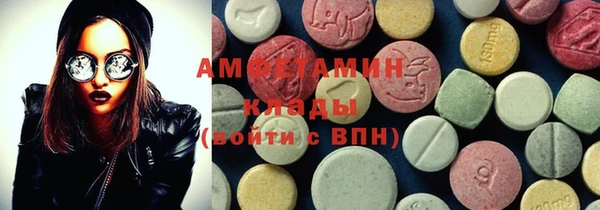 шишки Аркадак