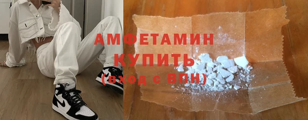шишки Аркадак