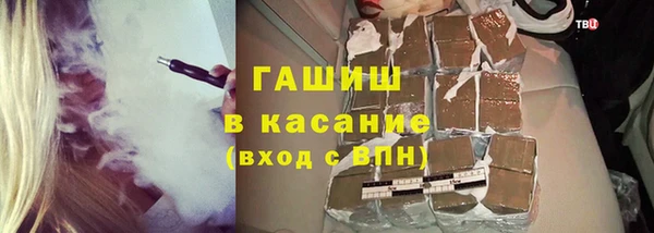 шишки Аркадак