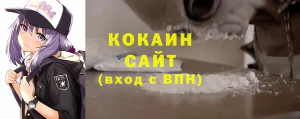 шишки Аркадак