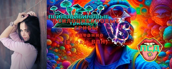 гидра Армянск