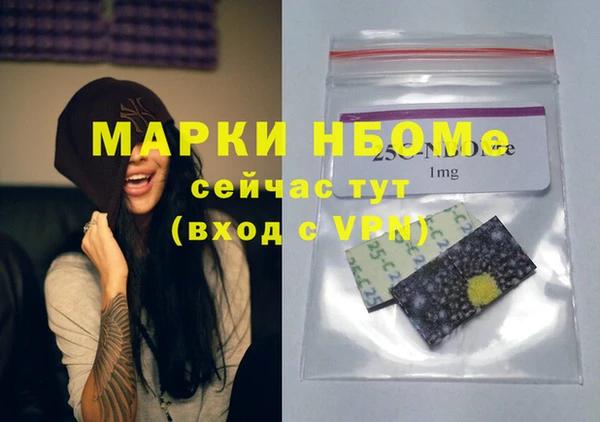 шишки Аркадак