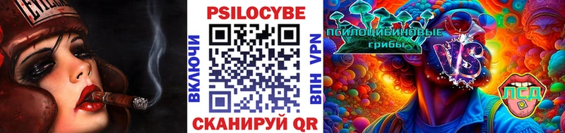 даркнет сайт  Калуга  Галлюциногенные грибы Magic Shrooms 